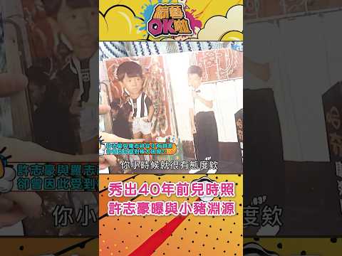 許志豪跟小豬「又愛又恨」的神祕關係！秀出照片有人很不屑喔 #綜藝OK啦#shorts