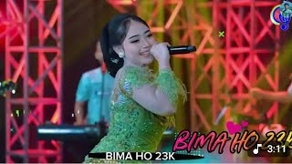 🌿Nagpuri 🔥style ✅ DJ 🎶mix 🎵Hindi song 🎵 trending 💞song ✅205 2026🌿💯💯