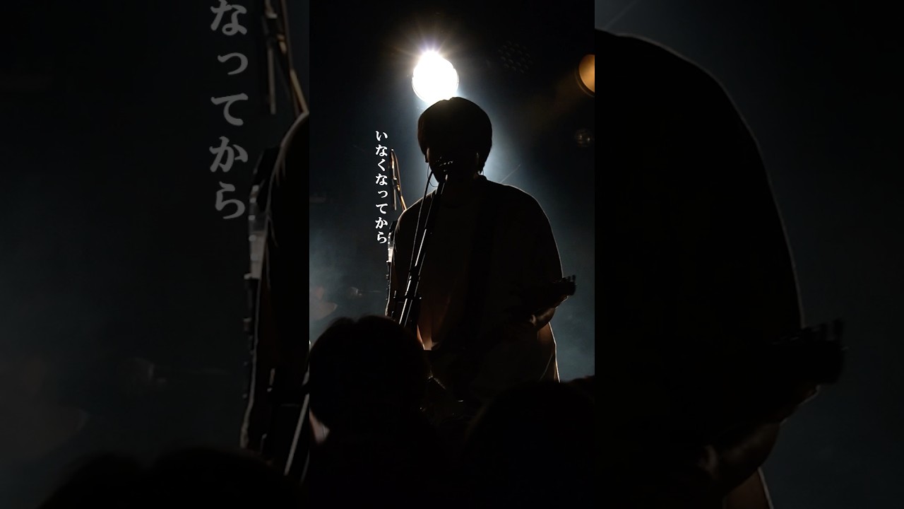 いなくなってから気付いたのは #セカンドバッカー #犬とバカ猫 #バンド #ライブ #shorts
