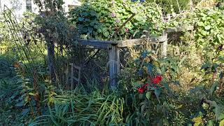 The Astrology of October 19-20, 2021