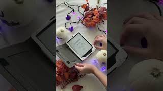 Spooky Season Reads