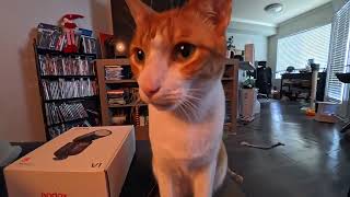 Insta360 Go Ultra Camera Test - Lamb Chops