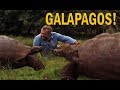 GALÁPAGOS, A ILHA DE DARWIN | RICHARD RASMUSSEN