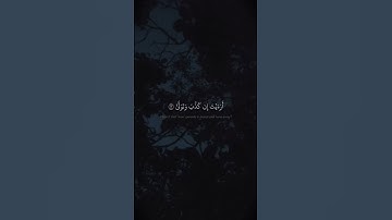 أَرَءَيْتَ إِن كَذَّبَ وَتَوَلَّىٰٓ | محمد صديق المنشاوي | سورة العلق