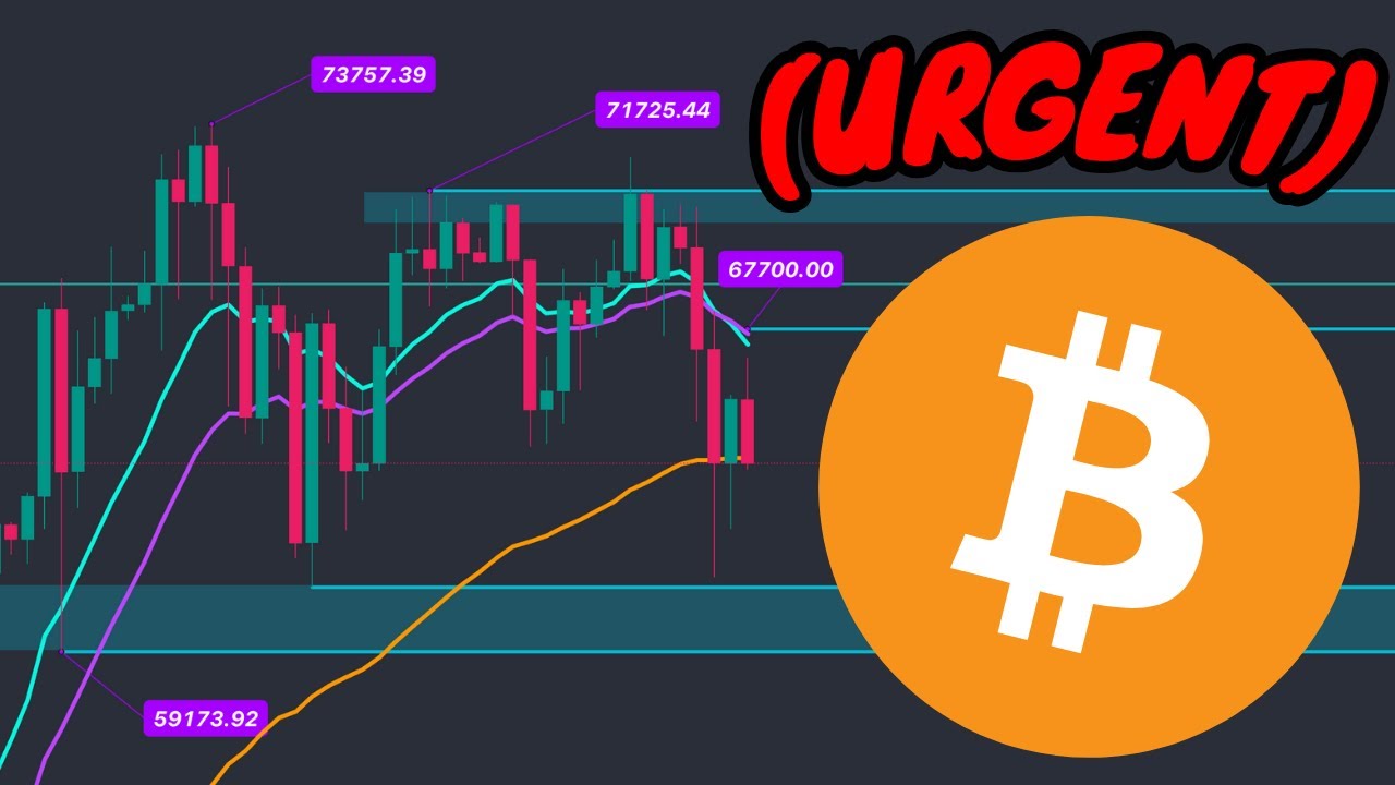 BITCOIN BTC: URGENT UPDATE TO ALL ALTCOIN HOLDERS - YouTube