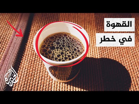 هل ستصبح القهوة مشروب الأغنياء فقط؟