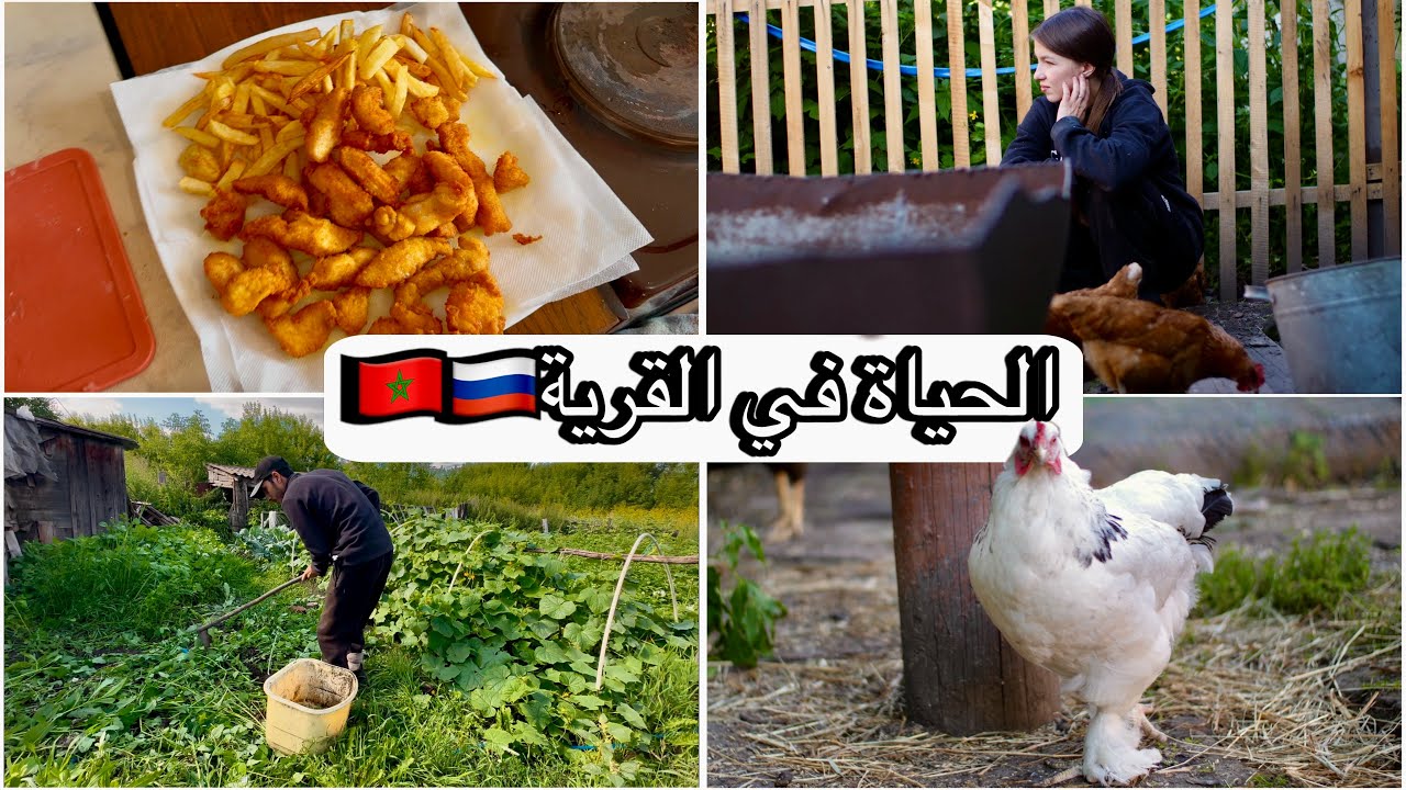 مغربي يعيش حلم الحياة البسيطة مع زوجته الروسية في قرية صغيرة في قلب سيبيريا!🇲🇦🇷🇺