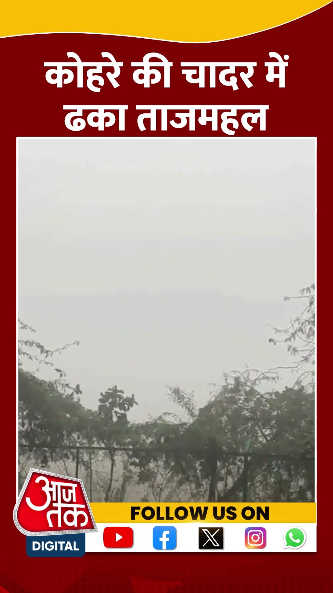Agra में धुंध में छिपा Taj Mahal #shorts #shortsvideo #fog #tajmahal