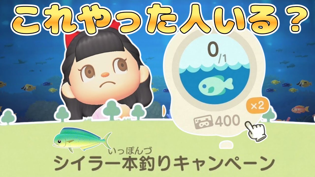 【終われません】シイラ一本釣りキャンペーンが出たのでまきエサ何個で釣れるかやってみた【あつ森ゆっく実況】