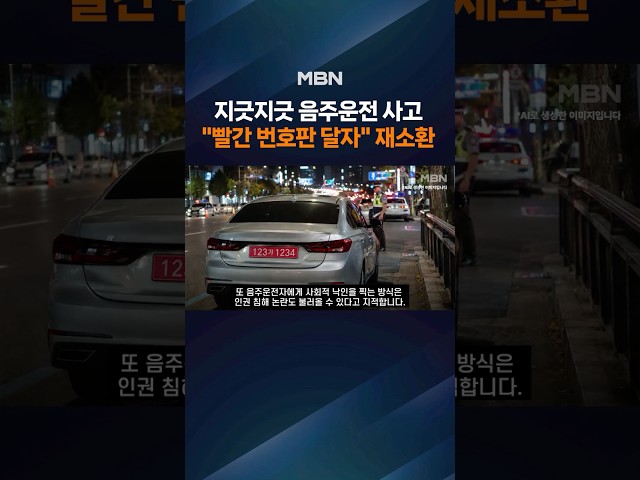 주홍글씨처럼…음주운전자 차량엔 '빨간 번호판'?