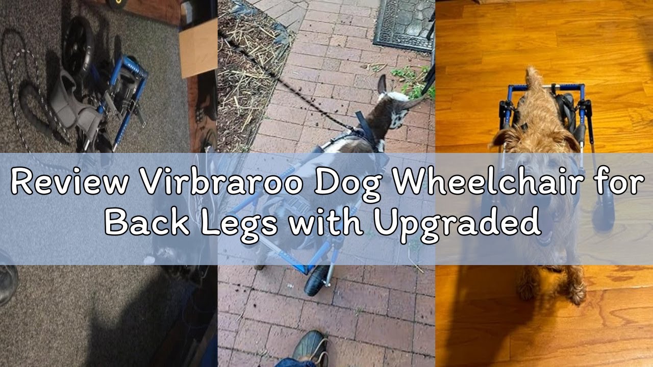 Review Virbraroo Dog Wheelchair for Back Legs with Upgraded All-Terrain Tires & Durable Bearings,Adj