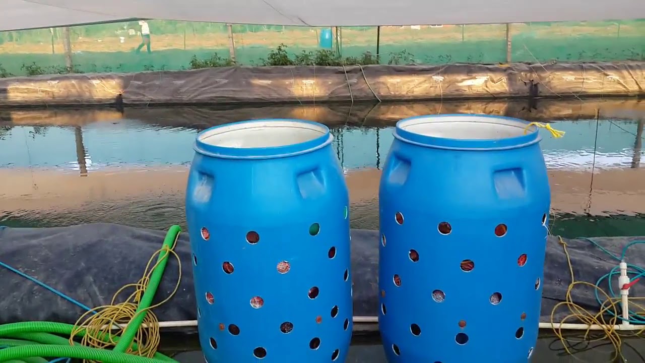 aquaponics futurist - home facebook