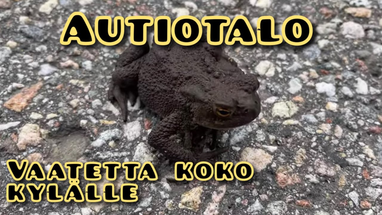 Autiotalo ja vaatteita koko kylälle
