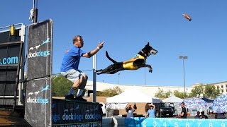 glucosamine for dogs, best glucosmine for dogs, ActivPhy, DockDogs-Tessa 10 year old lab wins!