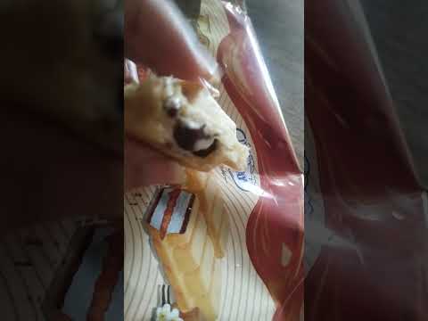  فريسكا فرأى داى اختراع جديد