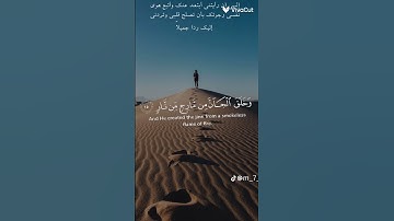 سورة الرحمن #قرآن #المصحف #اكسبلور #الرحمن #دويتو #duet #لايك #تيك_توك