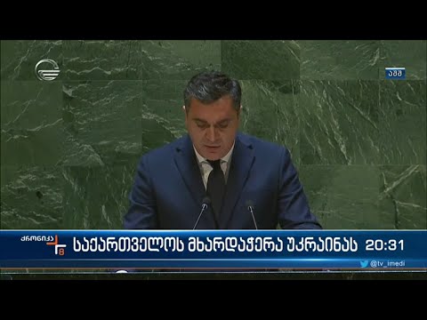 მხარდაჭერა უკრაინას