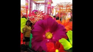 这扯谈的人生。 Zhe Che Tan De Ren Sheng