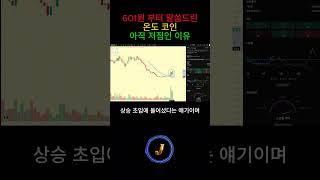온도코인 601원 부터 말씀드렸지만, 아직 더 가는 이유