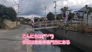 なるちゅるうどん感想レポ