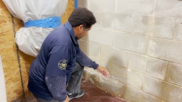 The Basement Kings explaines Efflorescence, where it