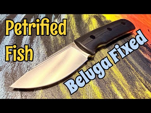 Petrified Fish Beluga Fixed Blade