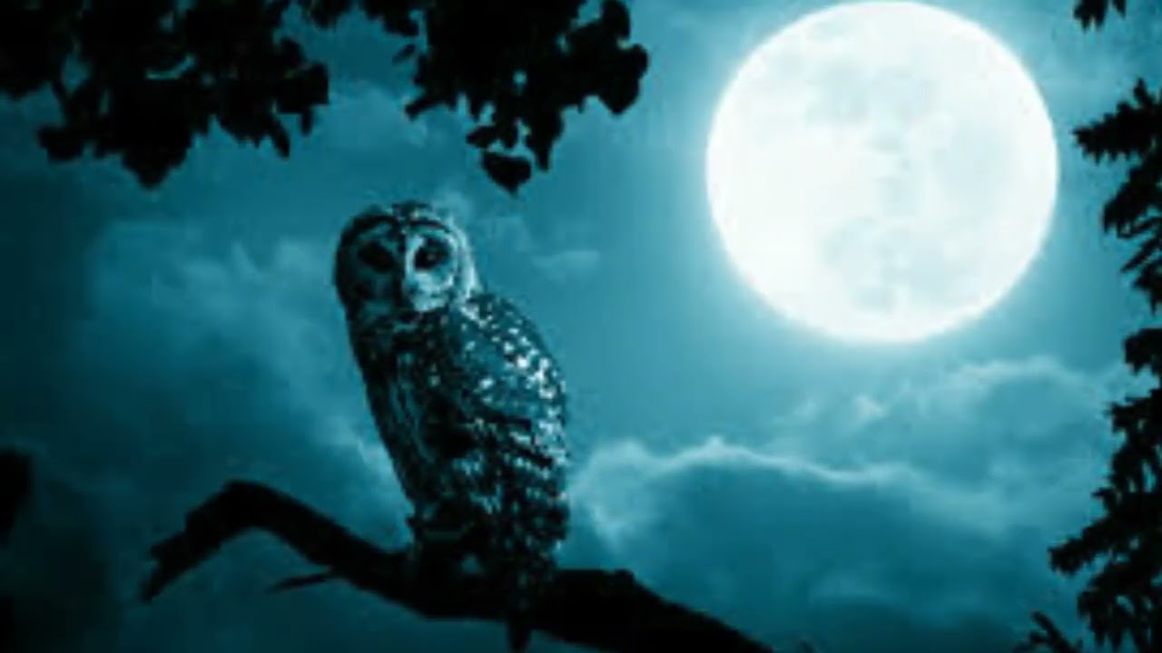 In the Moonlight by the late Mike E. Shipley