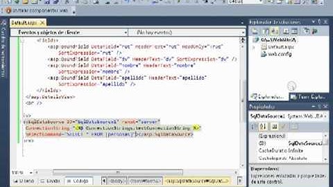 Sql Server y ASP NET