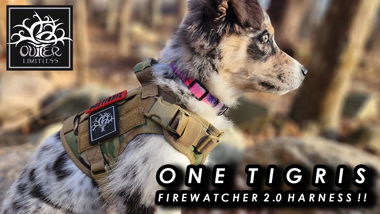 OneTigris Fire Watcher 2.0 Harness Review