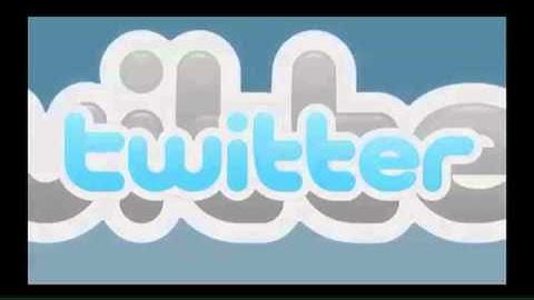 How to Maximize my Twitter Account