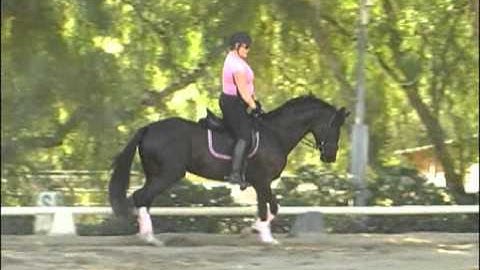 Hilda Gurney Tutorial on How to Ride the Shallow Loop Serpentine