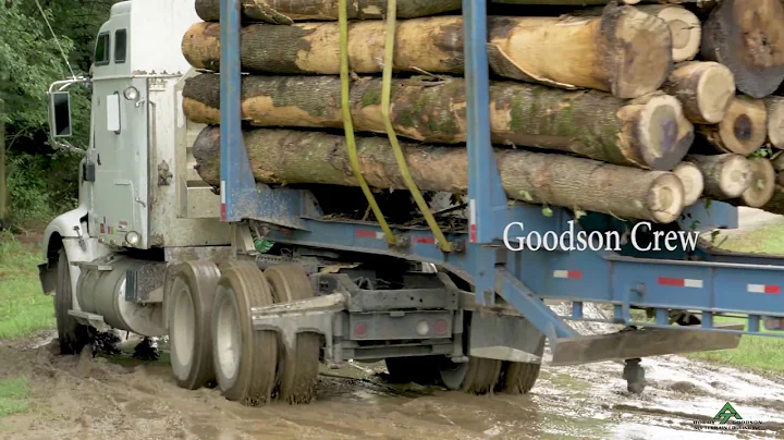 SWAMP LOGGERS NC /  " Bringin' everyone up to spee...