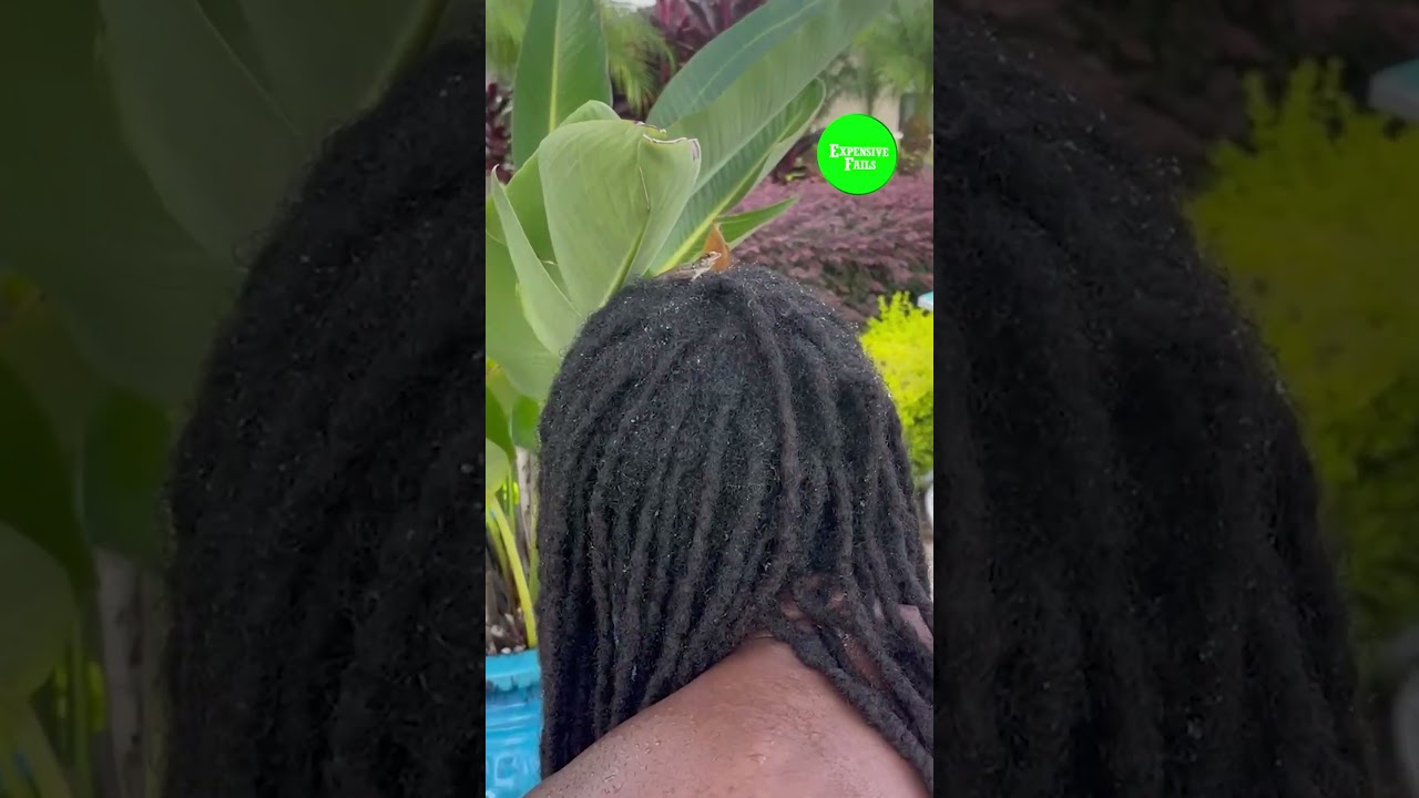 Funniest couples failing together 😭😂