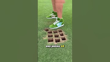 Trồng cỏ xanh trong vài phút ở những vùng đất khô cằn khó tin 😯