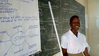 Career Cluster: Science Technology Engineering and Mathematics (STEM) Cluster