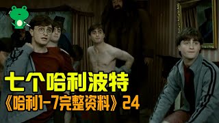 【细品哈利24】《哈学》深度解析 | 波特转移之战