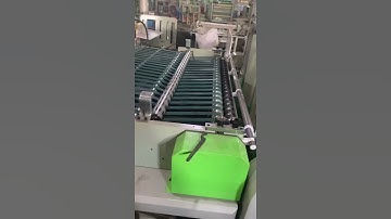 Two line bubble bag making machine with Automatic lifting bag mover