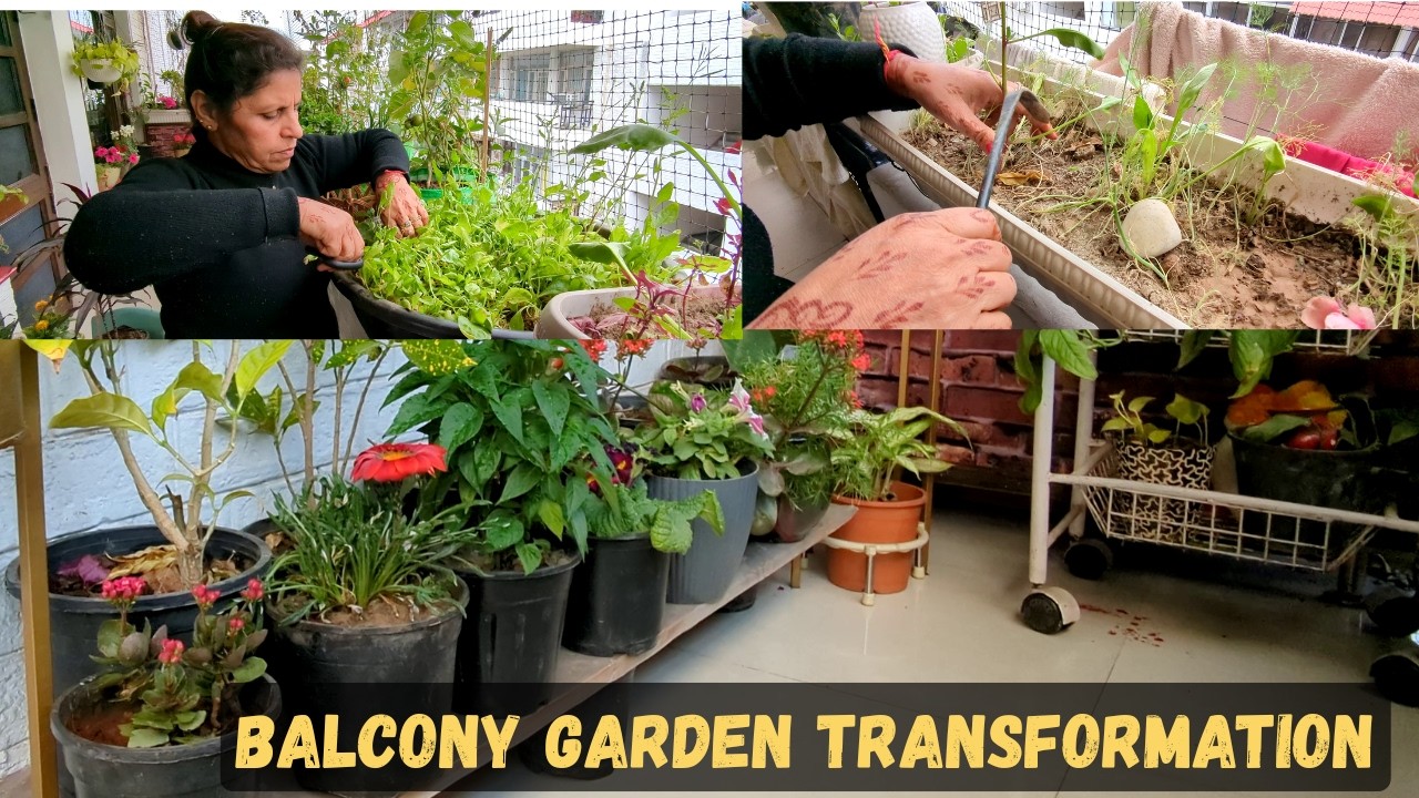 Garden Makeover Day 🌿 Monsoon Ready Garden 🌧️ Balcony Garden Transformation || ShivGeet Vlogs
