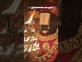 🌺  ஸ்ரீ வெங்கடேசாய நமஃ  🌺 #tirumala #tirupatibalaji #govinda #balaji #venkateswara #shorts #ytshorts