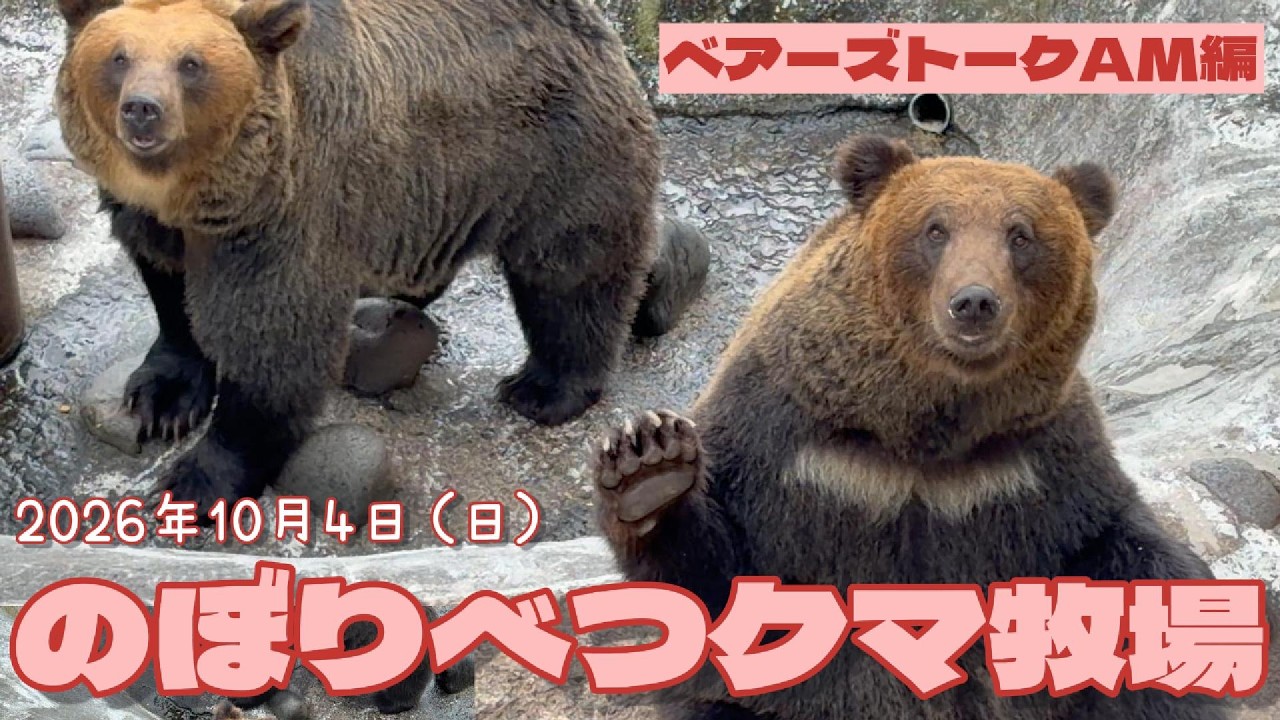 10/26/26② Bears Talk AM Edition ~ The Fabulous 7-Year-Old Team