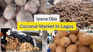 Coconut Market In Lagos Nigeria Price Of Local Coconut