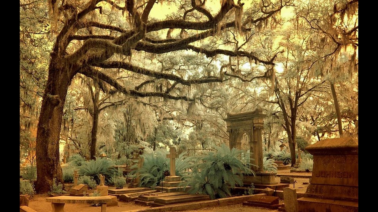 Walking Tour of Bonaventure Cemetery @ Savannah Georgia 2023