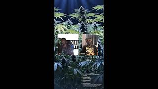 UNRGLTD Podcast Ep. 84 The Arizona Home Growers Association 📱