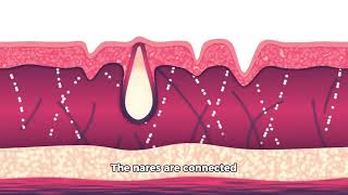 How fish smells and taste underwater #fish #smell #food #eat # sensory #sea #anglers