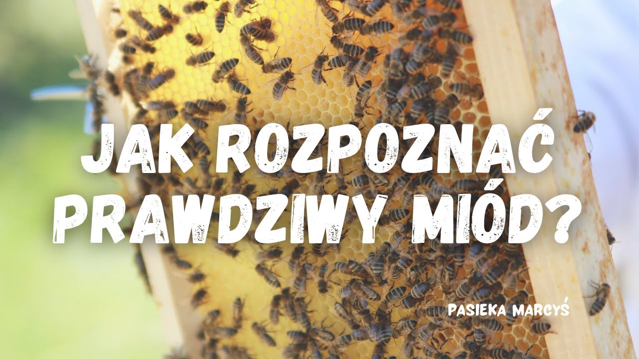 Jak rozpoznać prawdziwy miód?