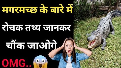 मगरमच्छ के बारे में रोचक तथ्य 😱 | Crocodiles |#shorts #facts #factsinhindi