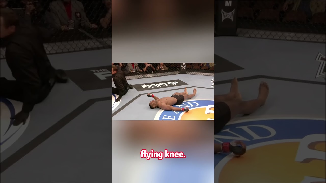 More devastating flying knee knockouts 