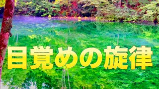 A beautiful pond inhabited by dragon gods like in Studio Ghibli. Piano solo music