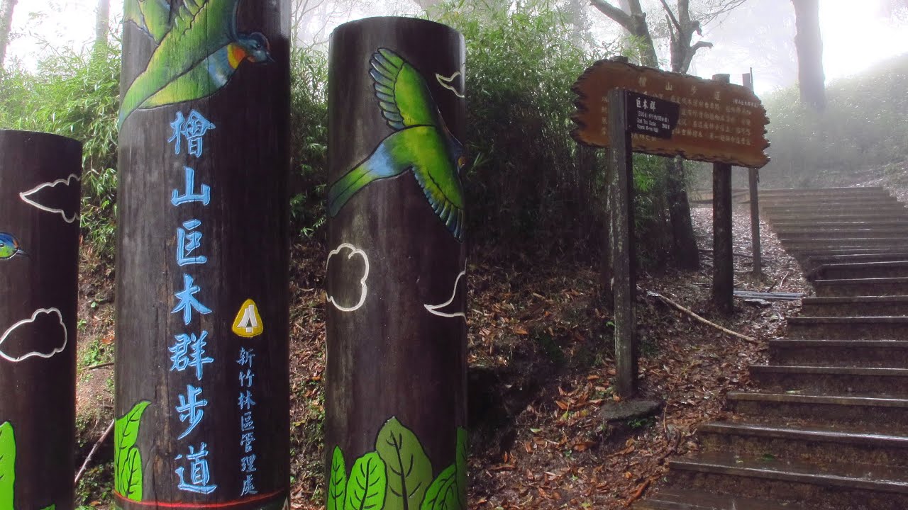 20121117_Miaoli、Hsinchu County，Taiwan檜山巨木群步道- YouTube