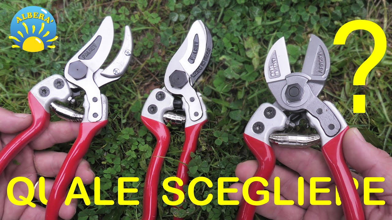 QUALE FORBICE DA POTATURA SCEGLIERE ? (COSA SAPERE PER NON COMMETTERE ERRORI)